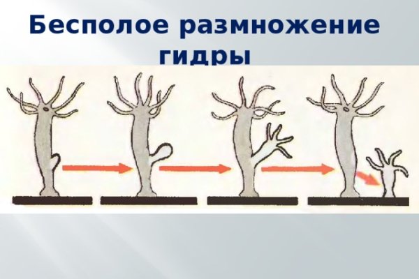 Как через сафари зайти на кракен